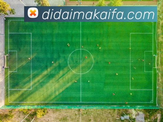 mk体育app官网登录入口品牌故事