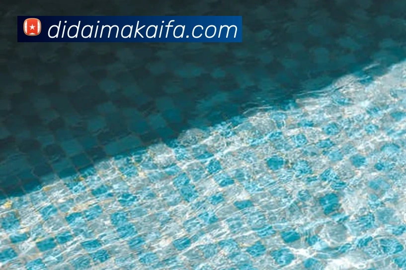 多媒体互动体验